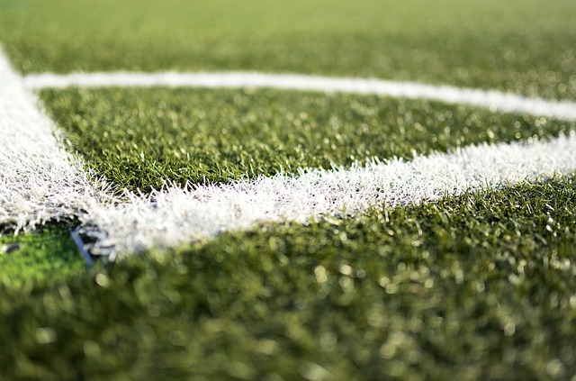 Strategies in Sports Betting